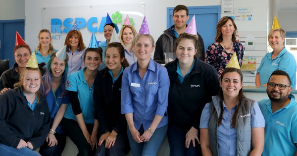 Party hats, cake and reflections as RSPCA-ACT turns 63