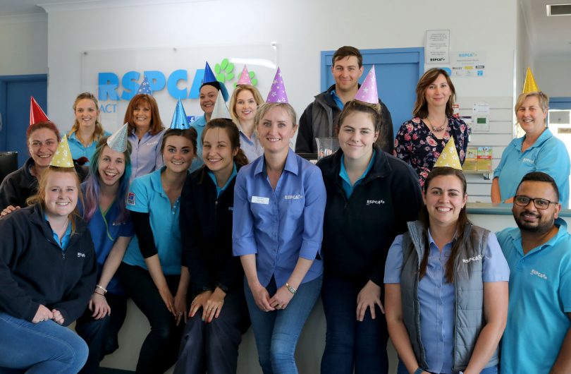 Staff celebrating RSPCA-ACT Birthday