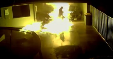 ACT Policing release CCTV footage of bikie attack on Calwell home in June