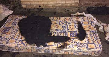 Electric blanket starts blaze inside Holder apartment