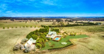 Enchanting Southern Highlands farm with three residences and olive grove on 100 acres