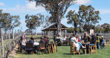 Spring into Yass: Region awakens from winter with a range of special events