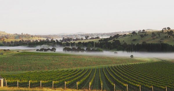 Lonely Planet toasts Canberra region in new Australasian wine trails guide