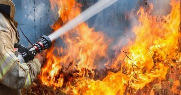 Be prepared: ACT bushfire season starts Monday