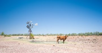 The way we farm needs to change as part of long-term drought strategy