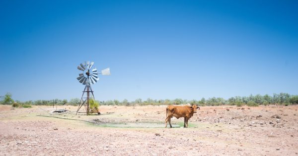 The way we farm needs to change as part of long-term drought strategy