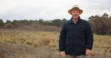 Community solar farm caught in renewable policy drift