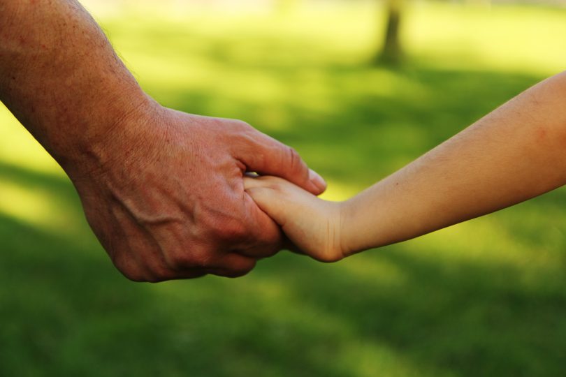 Man and child hands holding.