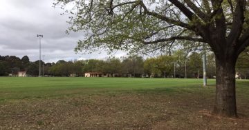 With Canberra in the midst of a building boom, what consideration is given to sporting facilities?