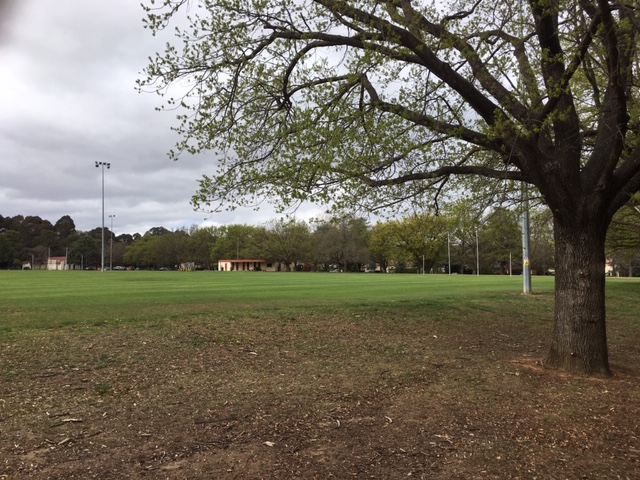 Reid Oval. Photo: Tim Gavel.