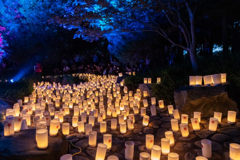 A range of candles on the ground, lit up at night