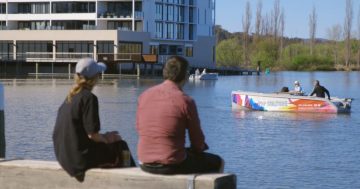 Kingston Foreshore - a magnet for people and nature