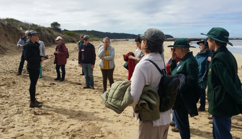 There are 24 Landcare group from Durras to Tilba working in the local environment. Photo: Eurobodalla Shire Council.