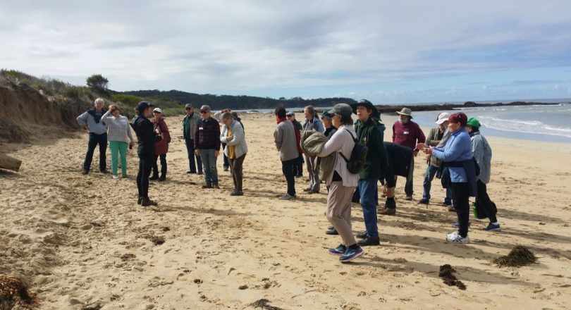 Landcare Coordinator Emma Patyus briefs volunteers at Tomakin. Photo: Eurobodalla Shire Council.