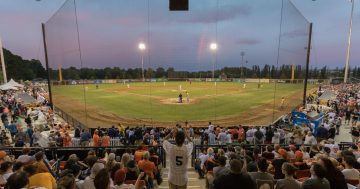 Canberra Cavalry to play in inaugural women's baseball league