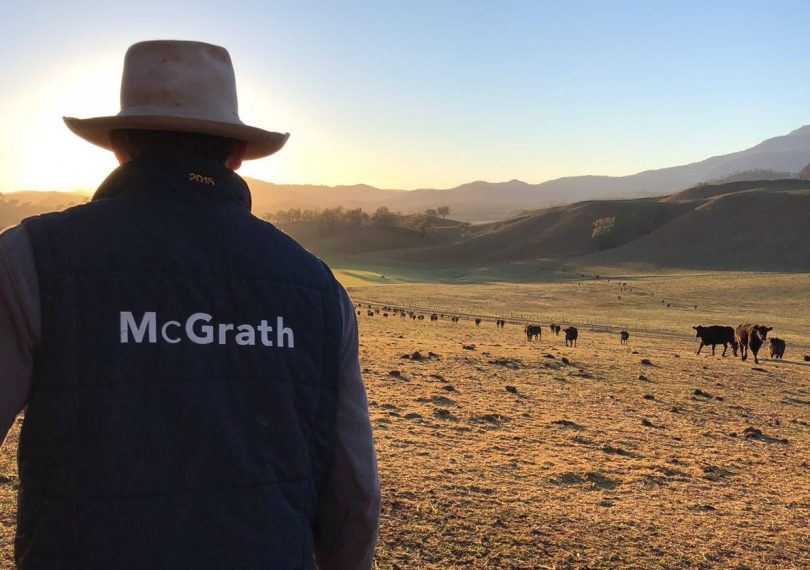 McGrath fundraising