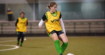 W-league defenders on notice as Canberra United sign striker Meaghan McElligott