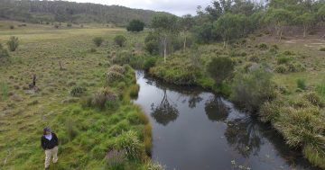 More farmers give ‘greenie’ science the thumbs up