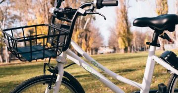 More dockless bikes set to be released as bike share trial nears halfway mark