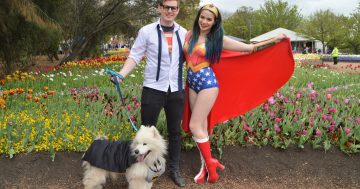 Superhero dogs stage a takeover of Floriade