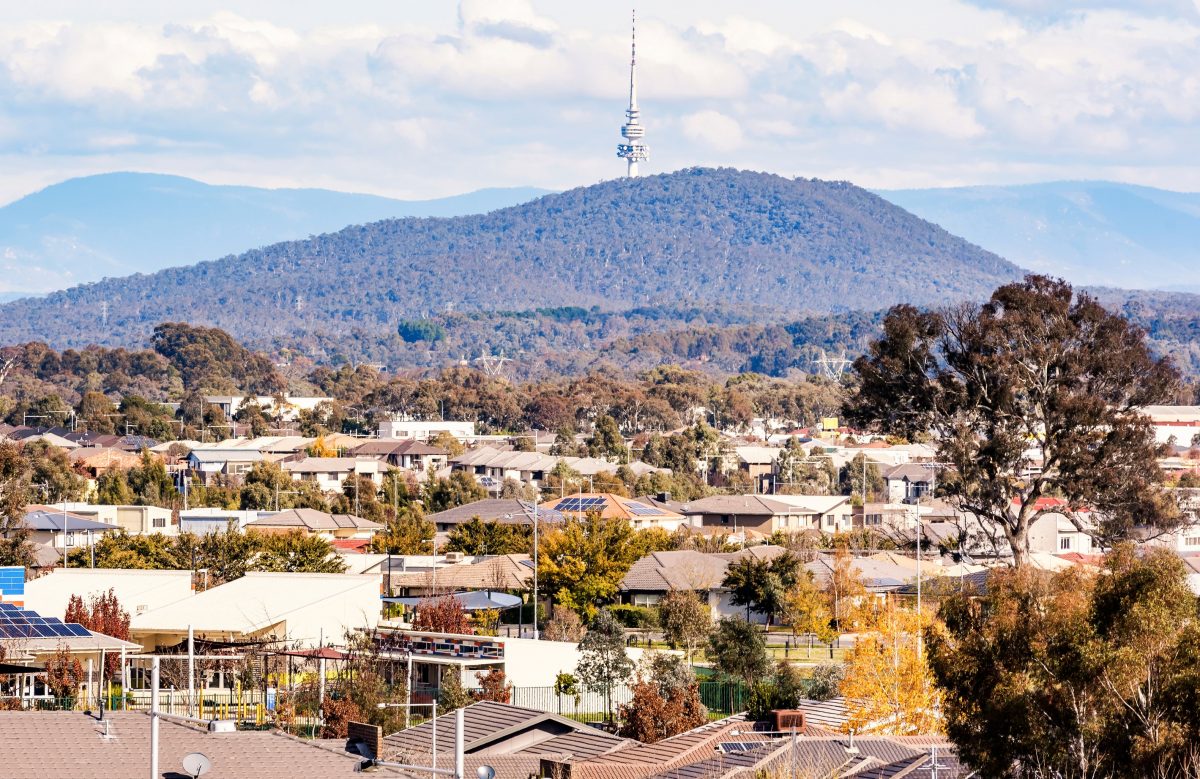 houses in front of telstra tower