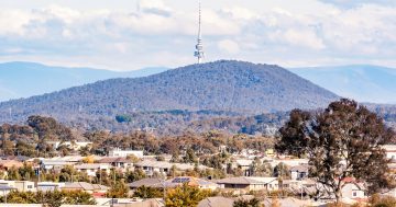 900 fewer homes for Canberra warns MBA