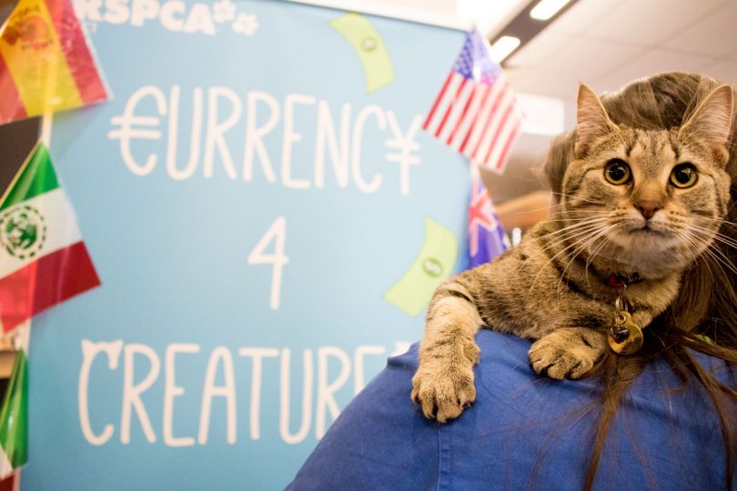 RSPCA ACT and CBA launch ‘Currency 4 Creatures’