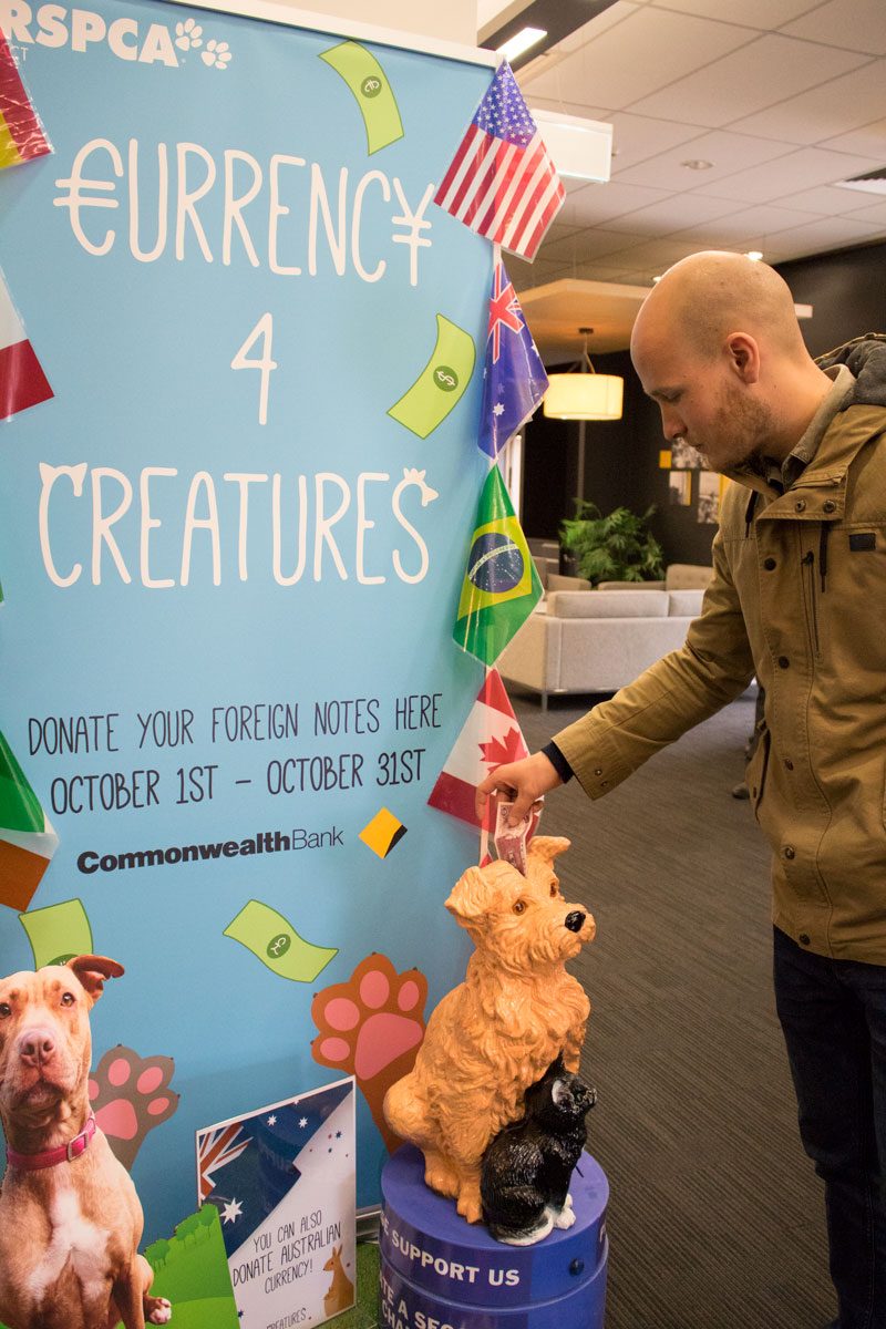 RSPCA ACT and CBA launch ‘Currency 4 Creatures’RSPCA ACT and CBA launch ‘Currency 4 Creatures’