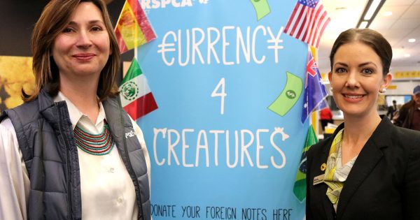 RSPCA ACT & CBA launch ‘Currency 4 Creatures’