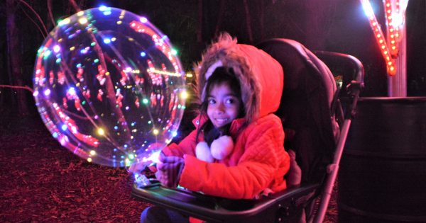 Cascading colours, spiralling trees and themed entertainment nights hit the mark at NightFest