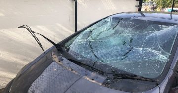 Vandals destroy fleet of cars belonging to local charity