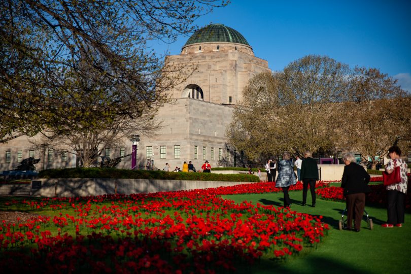 Poppies at the AWM