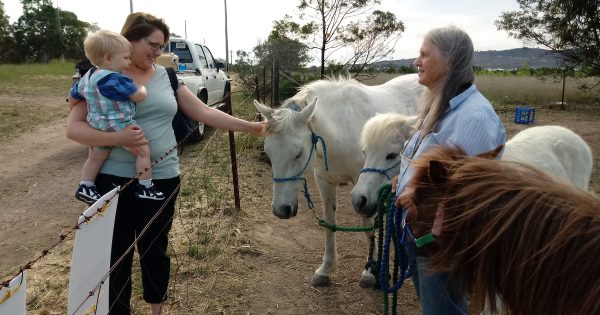 Weston woman holds out on grazing block after licence terminated