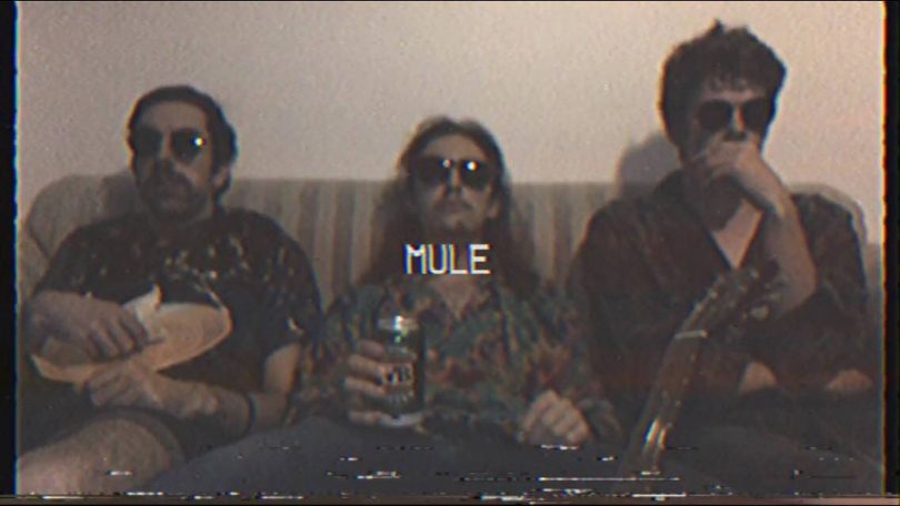 Photo supplied by Mule. Check them out this Friday at The Phoenix from 9 pm, playing with Yoko Oh No! and Lucifungus.