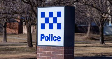 Three charged after man mugged in Glebe Park