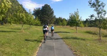 Push to separate walkers and cyclists on busy lake paths