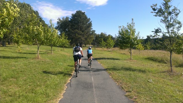 Two cyclists on a bike path 