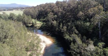 Eurobodalla to go to Level 2 water restrictions on December 1