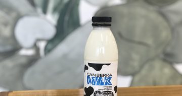 Canberra Milk recalls products over faulty caps
