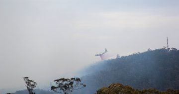 Pierce’s Creek bushfire: Tidbinbilla staff closest to the fire frontline