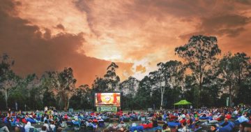 Eight things to do around Canberra this weekend (30 Nov–2 Dec)