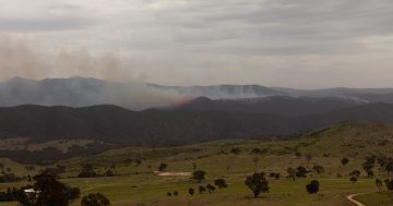 Pierce’s Creek bushfire: ACT ESA Commissioner says conditions similar to 2003, warns 'complacent' Canberrans