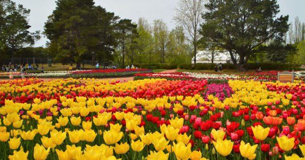 World in Bloom: Floriade 2019 aims to draw record crowds on a trip around the globe