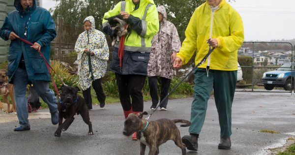 It takes a community to run the RSPCA Shelter