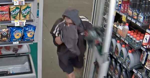 Police release CCTV footage of man robbing Mawson petrol station at knifepoint