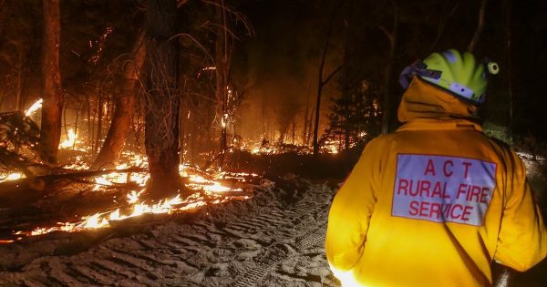 Rangers fear practice of torching dumped cars will spark more bushfires in ACT's tinderbox conditions