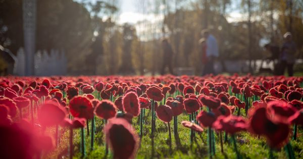 How to commemorate Remembrance Day in Canberra