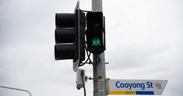 Same-sex pedestrian signals given the green light in Braddon