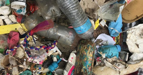 74 bags of rubbish gleaned from Lake Burley Griffin during community-led day of cleaning