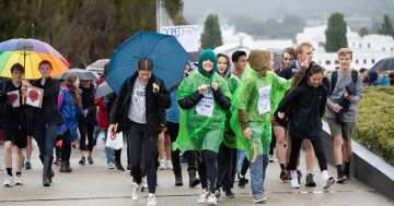 Whose house is it anyway? Young citizens locked out of Parliament House